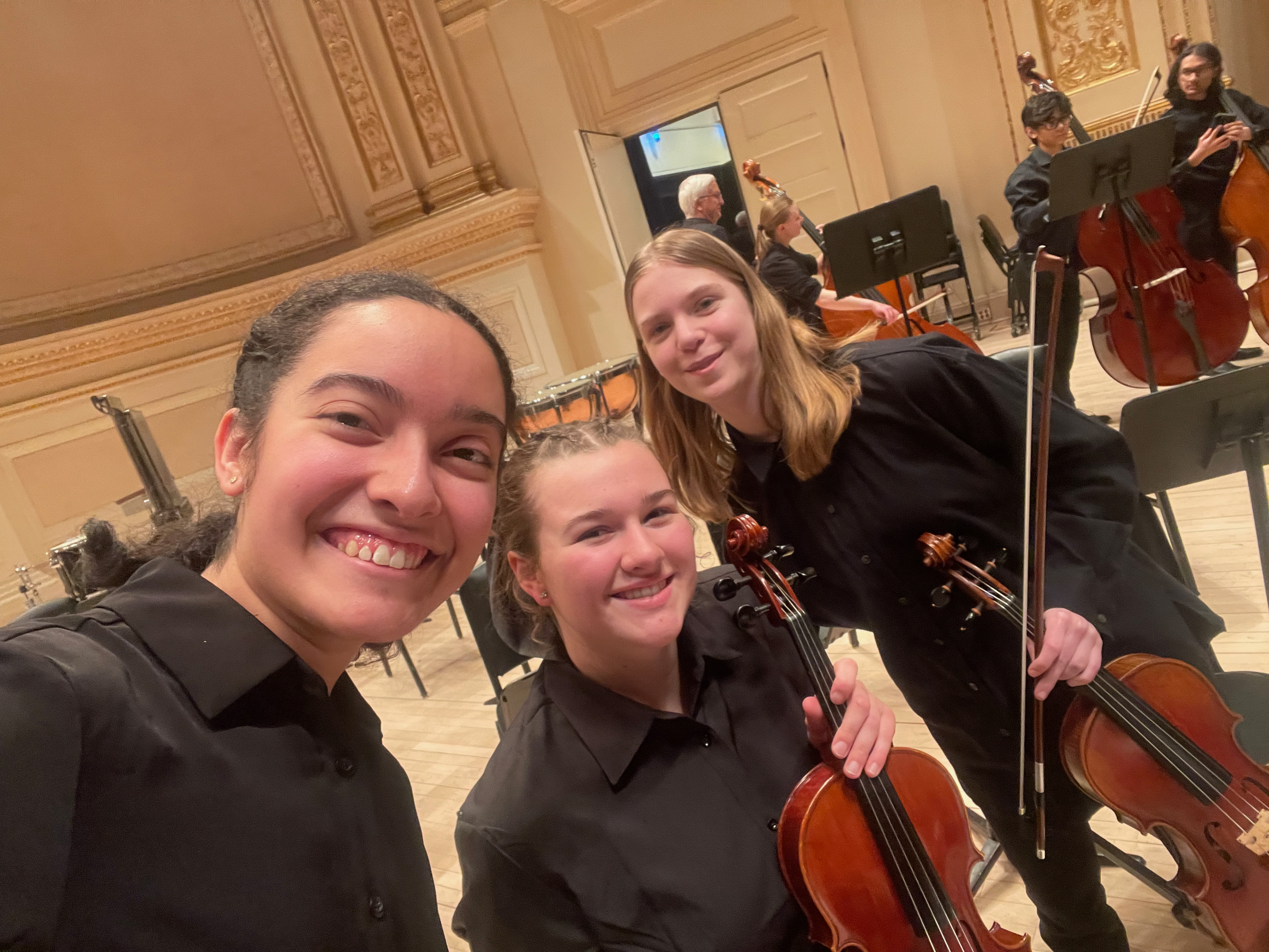 Photo of 2025 HPS partial viola section