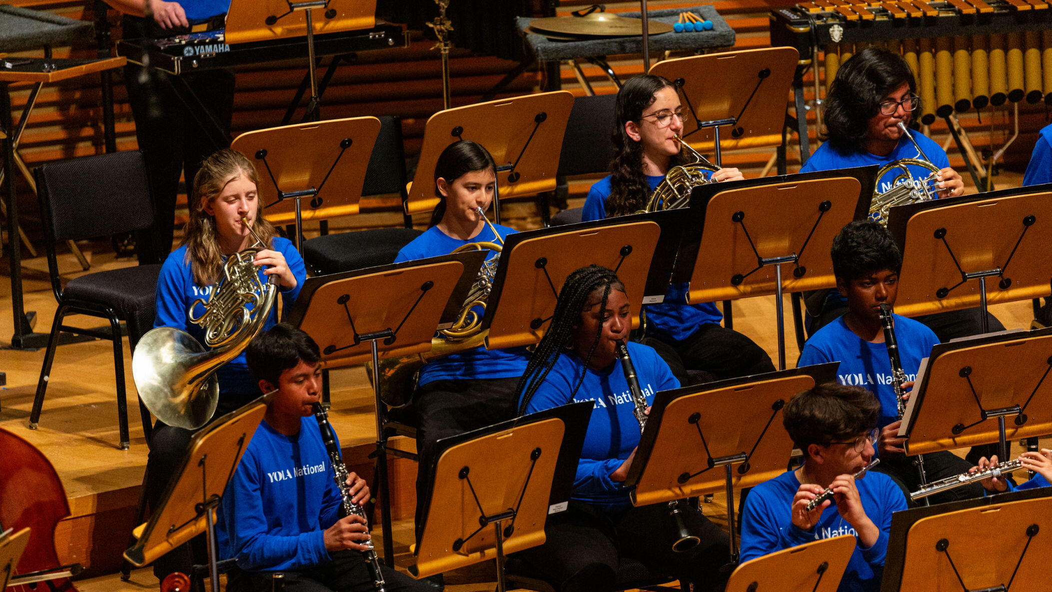 Photo of YOLA ensemble